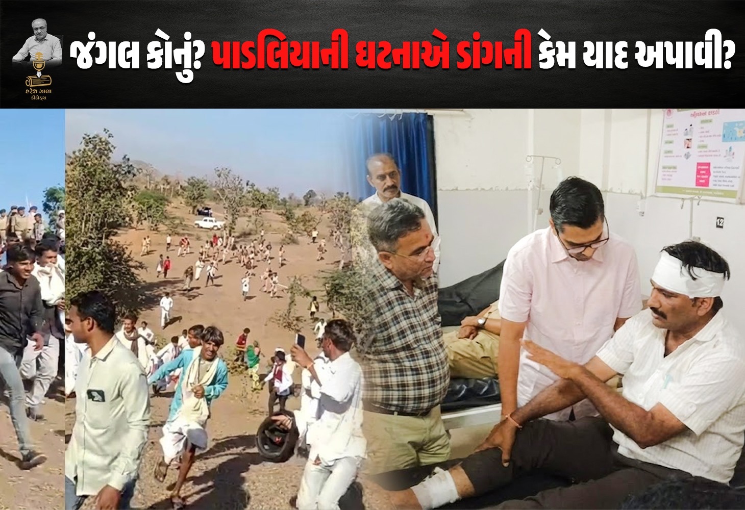 જંગલ કોનું? કાયદો આદિવાસીથી ઉપર છે?