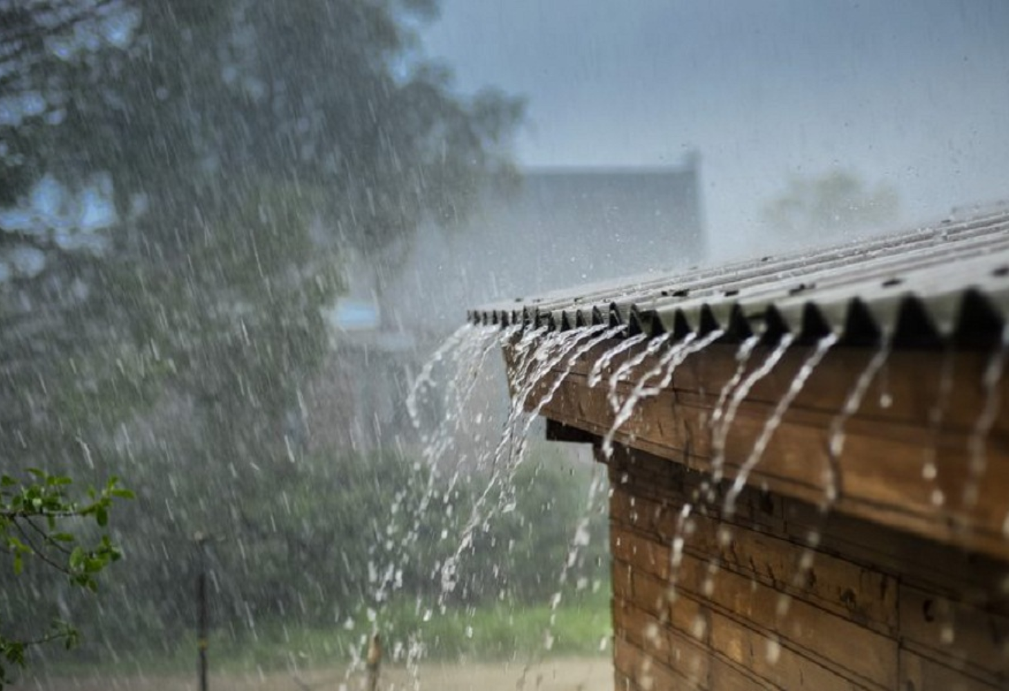 Gujarat weather: બનાસકાંઠા-સાબરકાંઠામાં રેડ એલર્ટ, ૧૬ જિલ્લામાં ઓરેન્જ એલર્ટ