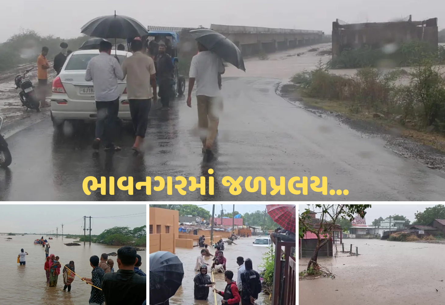 Bhavnagar - Dhandhuka હાઈવે બંધ, શેત્રુંજી નદી બે કાંઠે, 60 લોકો ફસાયા, અનેક માર્ગો તૂટ્યા!