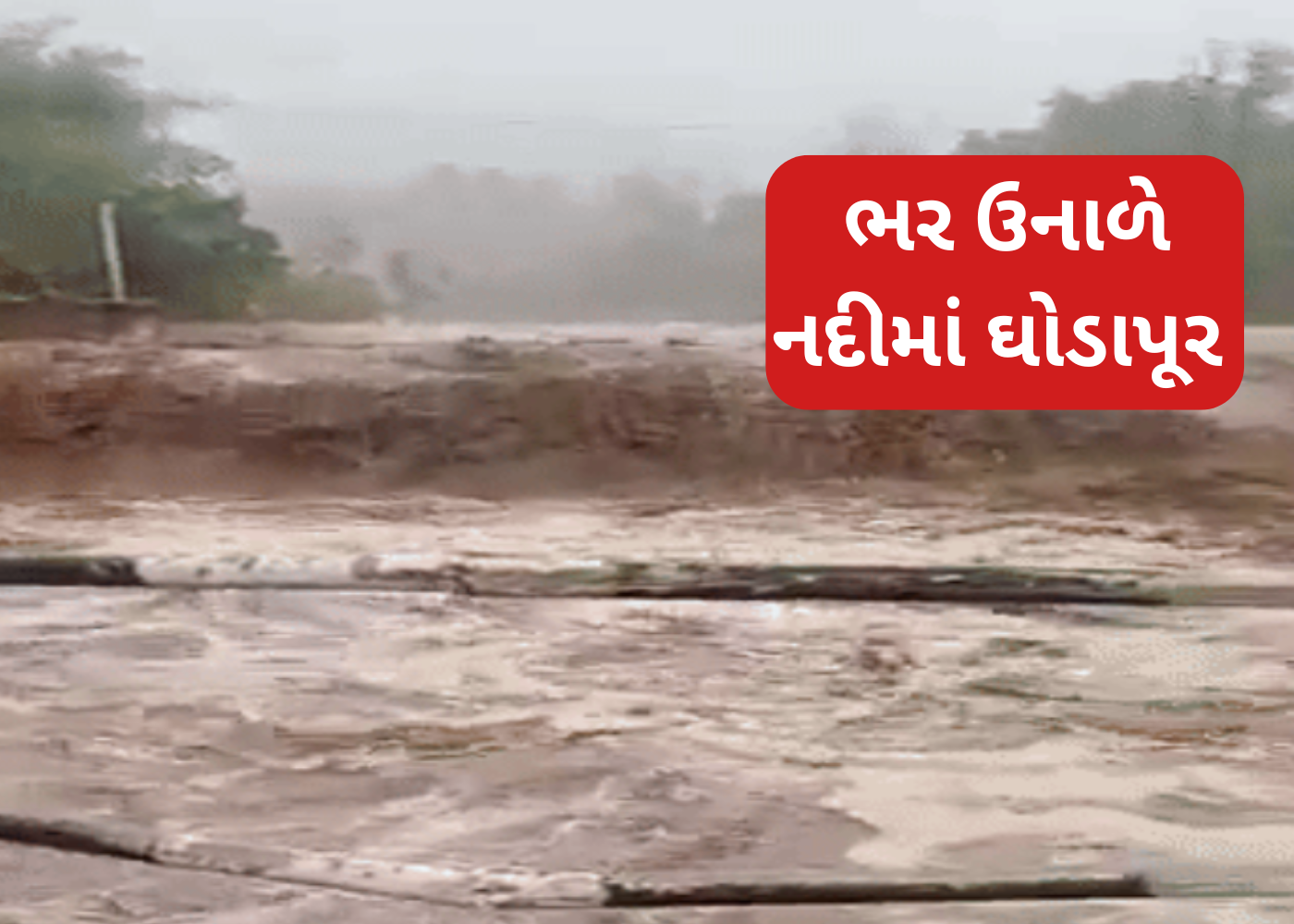 કમોસમી વરસાદનો કહેર: પાકને નુકસાન, નદીઓમાં પૂરની સ્થિતિ