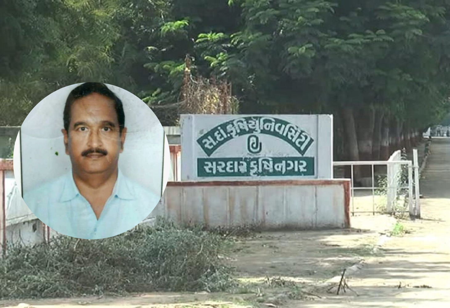 ઉપ કુલપતિ કૌંભાડઃ દાંતીવાડા કૃષિ યુનિવર્સિટીના ઉપ કુલપતિની ભરતી ગેરકાયદે