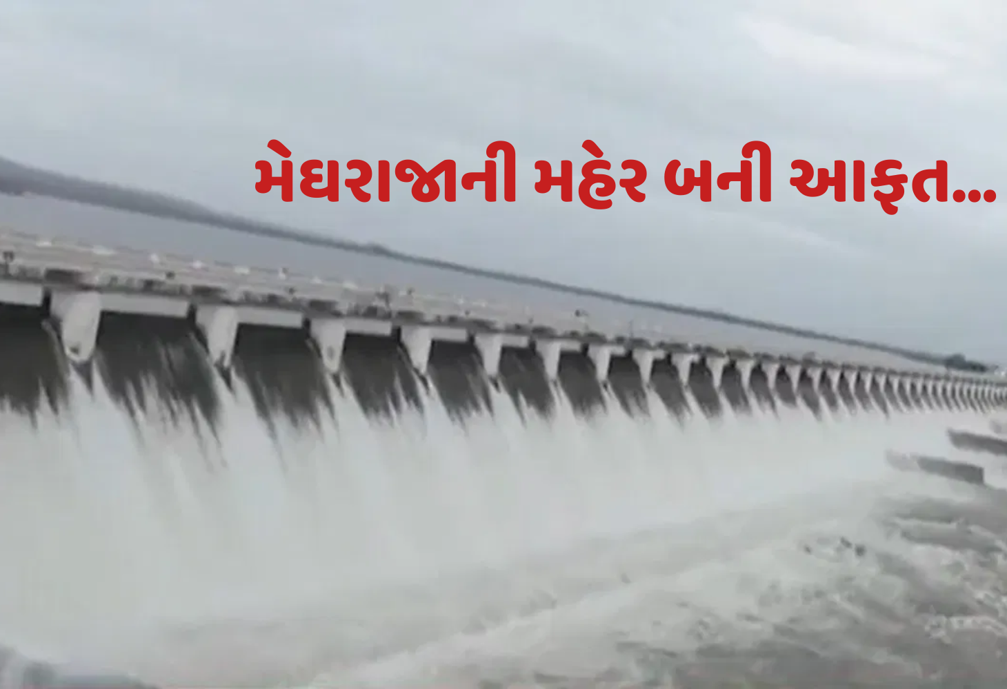 Bhavnagar : શેત્રુંજી ડેમના 59 દરવાજા ખોલાયા, 17 ગામો પર પૂરનો ખતરો, હાઈ એલર્ટ જાહેર!