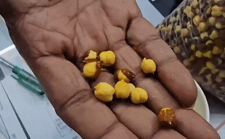 સાવધાન! ઝેરીલા ચણા ખાતા પહેલાં ચેતી જાજો