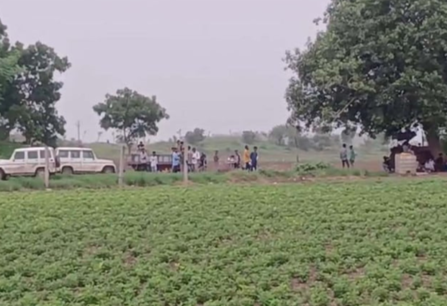 Amreli: સિંહે પાંચ વર્ષના માસૂમ બાળકનો જીવ લીધો, ખેતમજૂર પરિવારમાં માતમ!