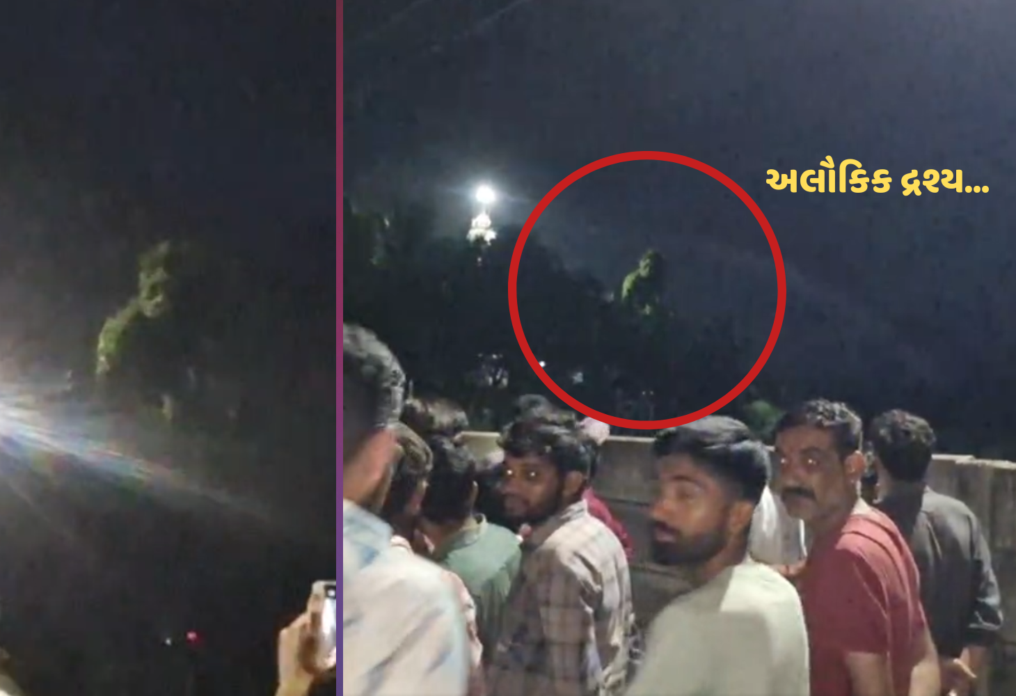 Video : જેતપુરમાં ચમત્કાર? આસોપાલવના વૃક્ષમાં હનુમાનજી દેખાયાનો દાવો, ભક્તો ઉમટ્યા!