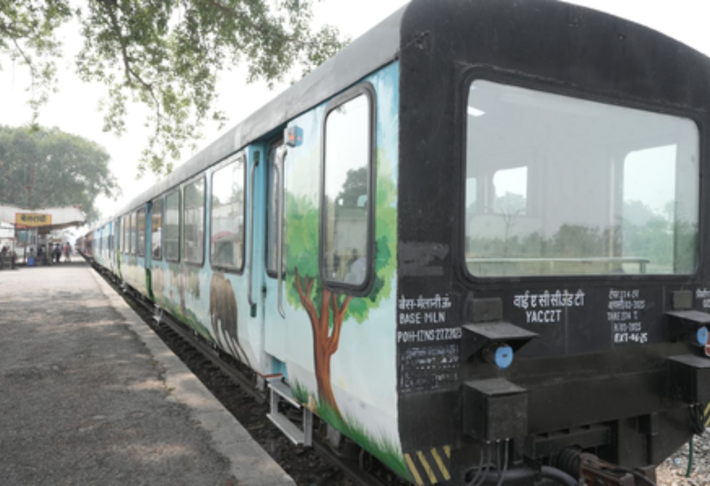 Special : તમે ક્યારેય જંગલોમાં મુસાફરી કરી છે? સરકારે શરૂ કરી આ નવી સેવા