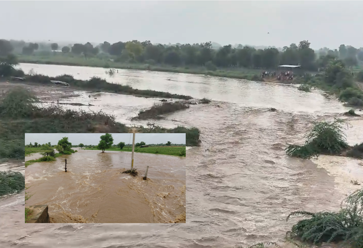 Banaskantha : 30 વર્ષ બાદ ઉમરદશી નદી જીવંત, જળાશયો છલકાયા, ખેડૂતોમાં આનંદ!