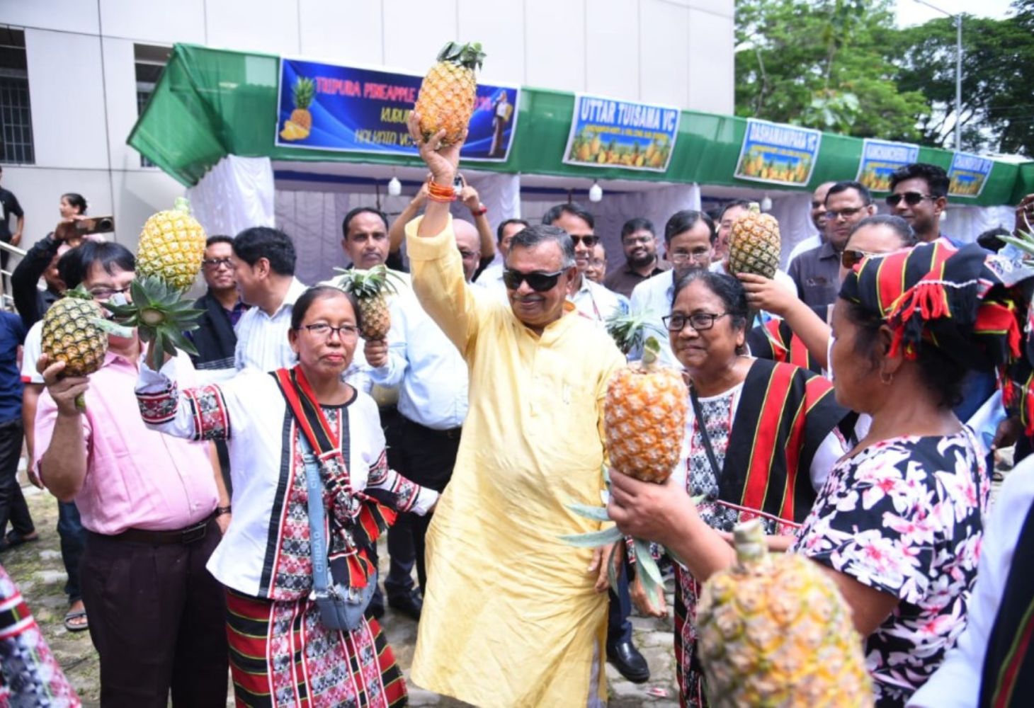 Tripura Exports 73 MT Pineapple In 7 Years
