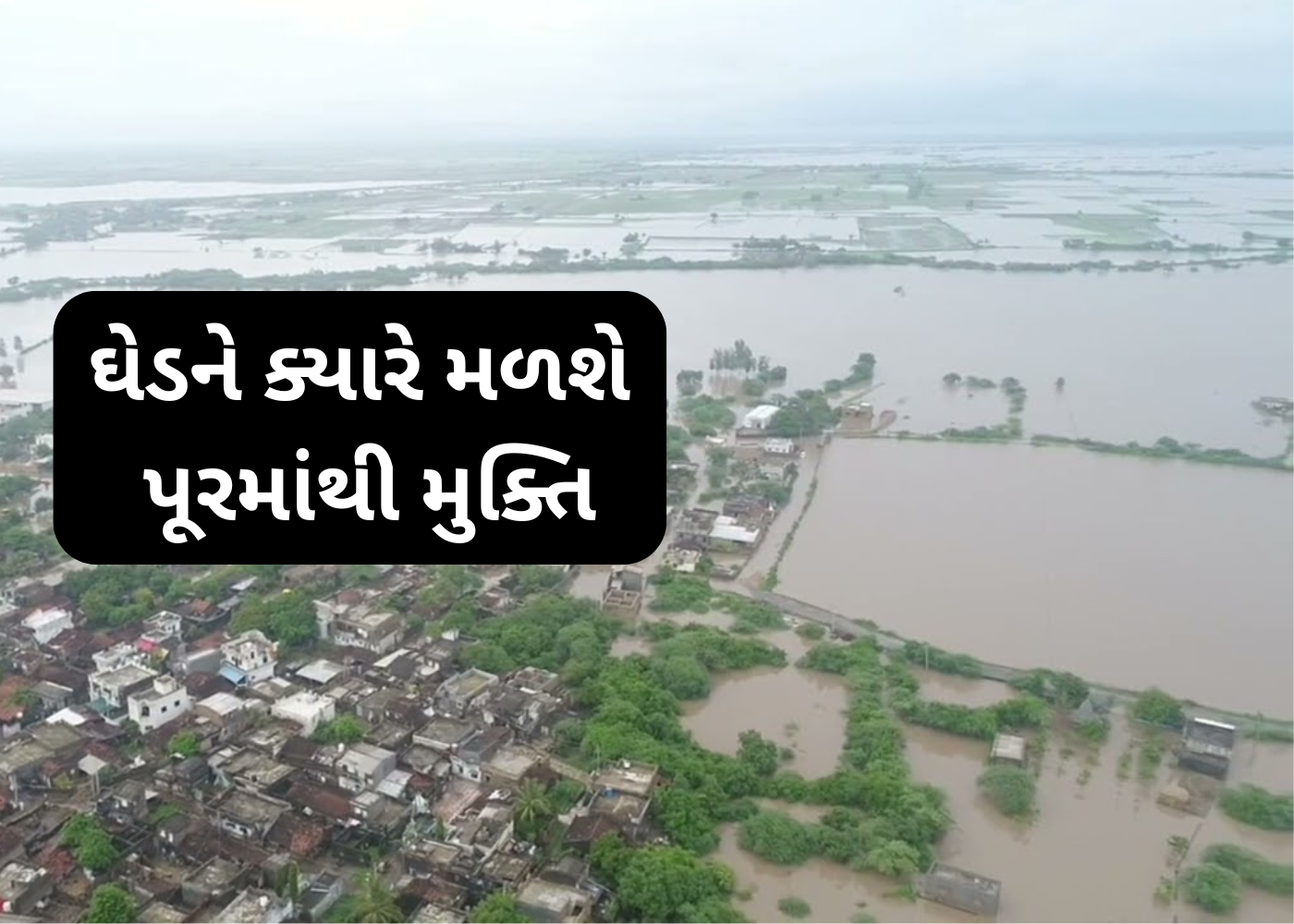 ડૂબતું બચાવવા આટલું કરવું જરૂરી, નહી તો ઘેડનું ડૂબવું નક્કી..!