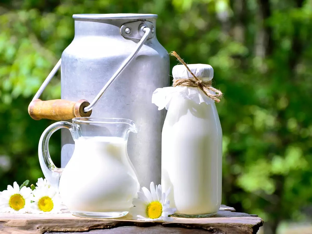 ગુજરાતના અમરેલીમાં દૂધમાં ભેળસેળના રેકેટનો પર્દાફાશ
