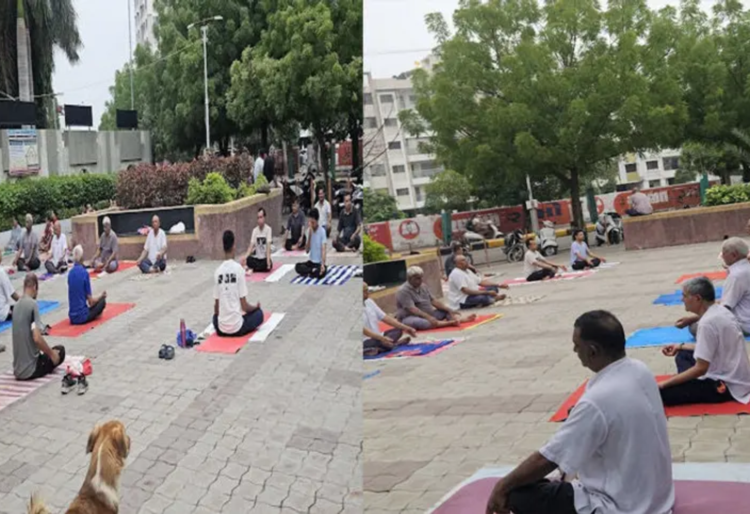 Jamnagar : 'સ્માર્ટ સિટી'ના દાવા પોકળ, એમ્યુઝમેન્ટ પાર્કનું તંત્ર આળસુ,  લોકો રોડ પર યોગ કરવા મજબૂર!