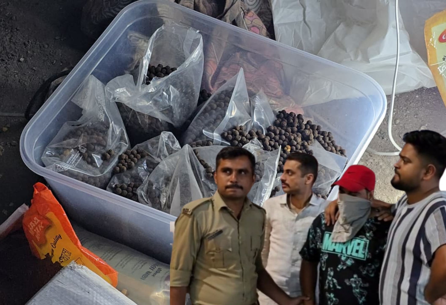 સુરતમાંથી કેનેડા જતું 40 KG અફીણ સાથે એક ઝડપાયો