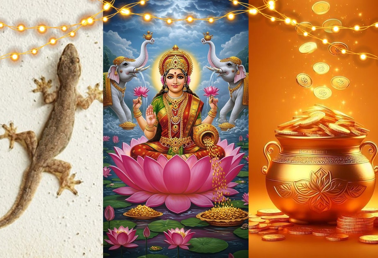 દિવાળી પર ગરોળી દેખાય તો શુભ સંકેત