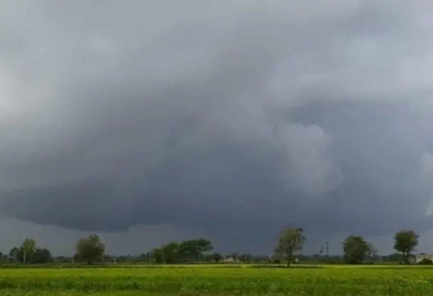 કચ્છમાં કમોસમી વરસાદથી ખેડૂતો બેહાલ