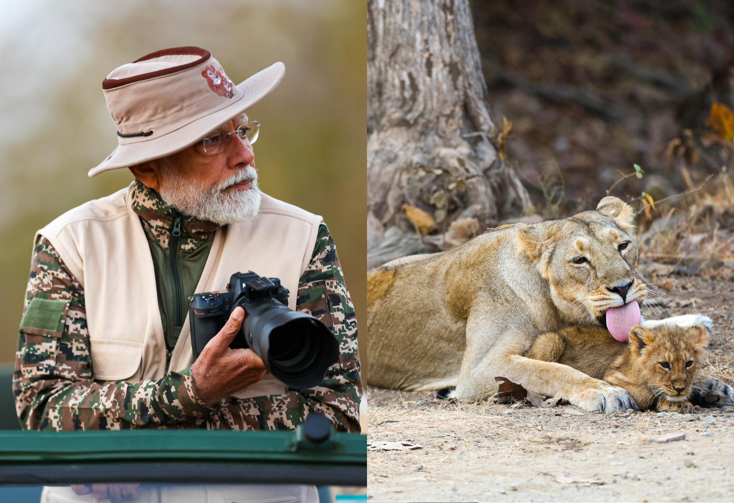 World Wildlife Day 2025: PM મોદીએ ગુજરાતના સાસણ ગીરમાં સિંહ દર્શન કર્યા