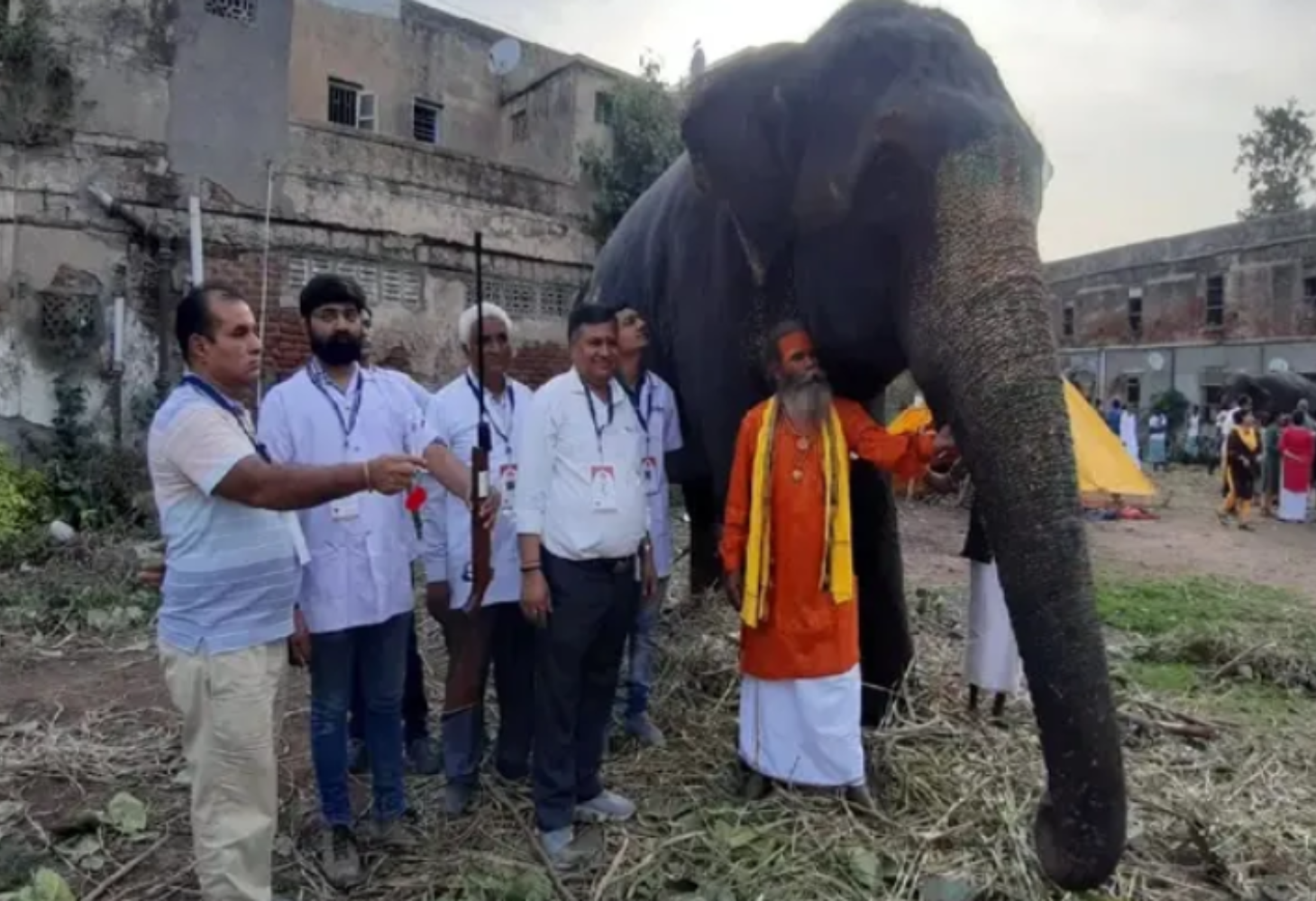 Ahmedabad: રથયાત્રાના હાથીઓનું હેલ્થ ચેકઅપ,પશુપાલન વિભાગ દ્વારા સઘન ચેકિંગ!