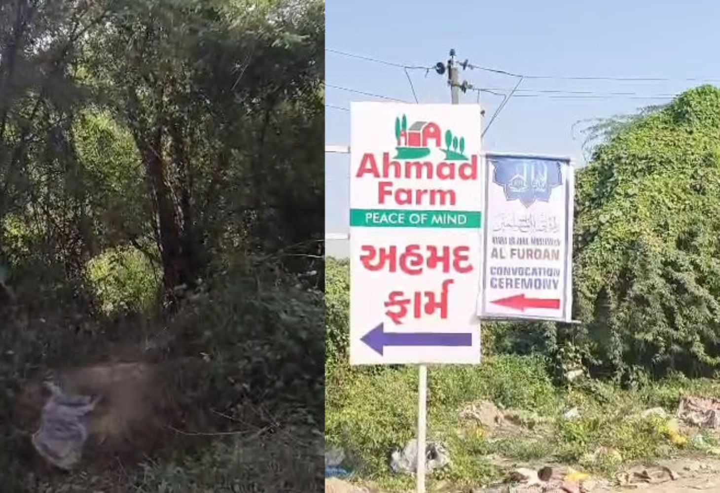 15 વર્ષીય સગીરાનો મૃતદેહ કેનાલમાંથી મળ્યો
