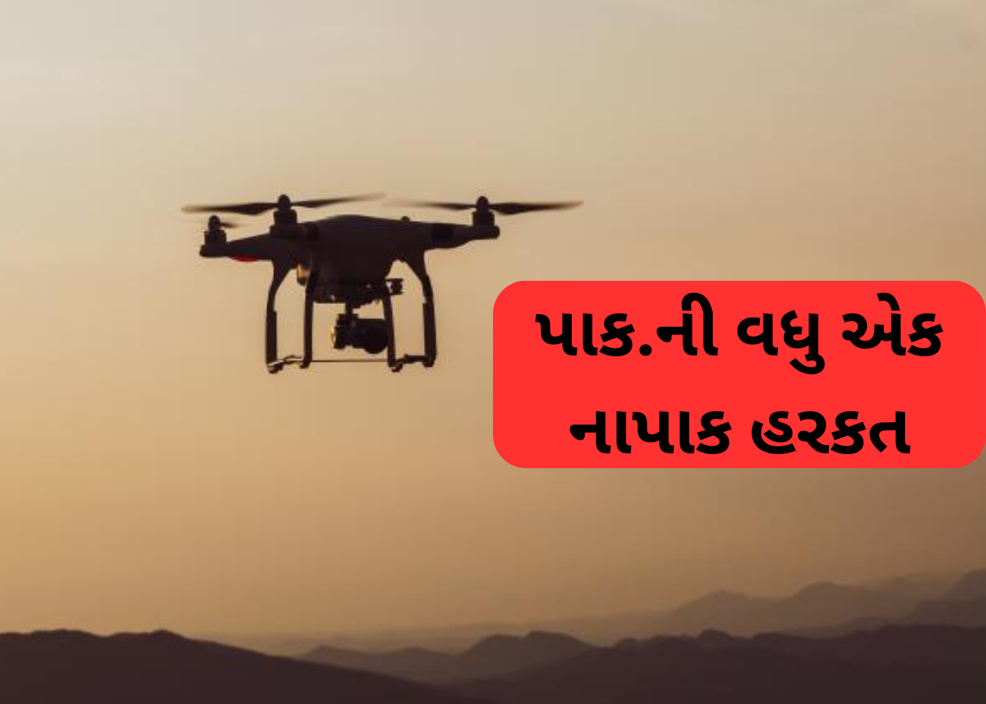 Jamnagar પાકિસ્તાની ડ્રોન ઘૂસણખોરી: ભારતીય સેનાની ત્વરિત કાર્યવાહી