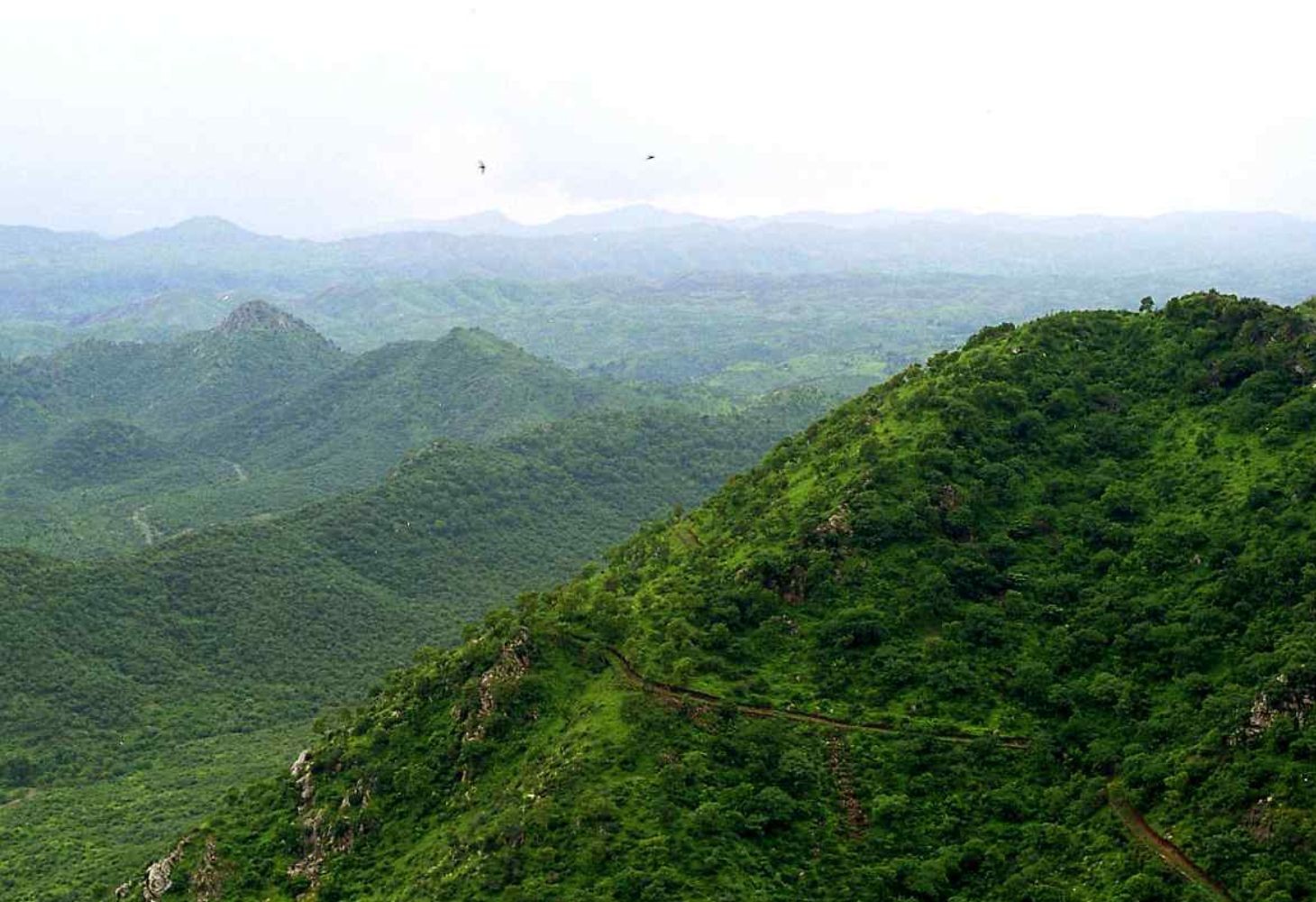 SC to hear suo motu case on Aravalli hills