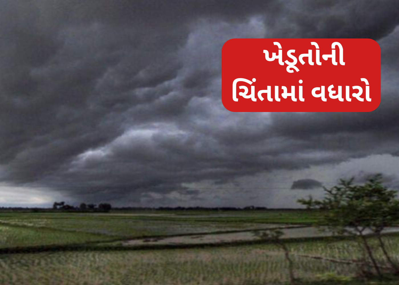 Gujarat : કમોસમી વરસાદ અને ગરમીનો કહેર: ખેડૂતોની ચિંતામાં વધારો