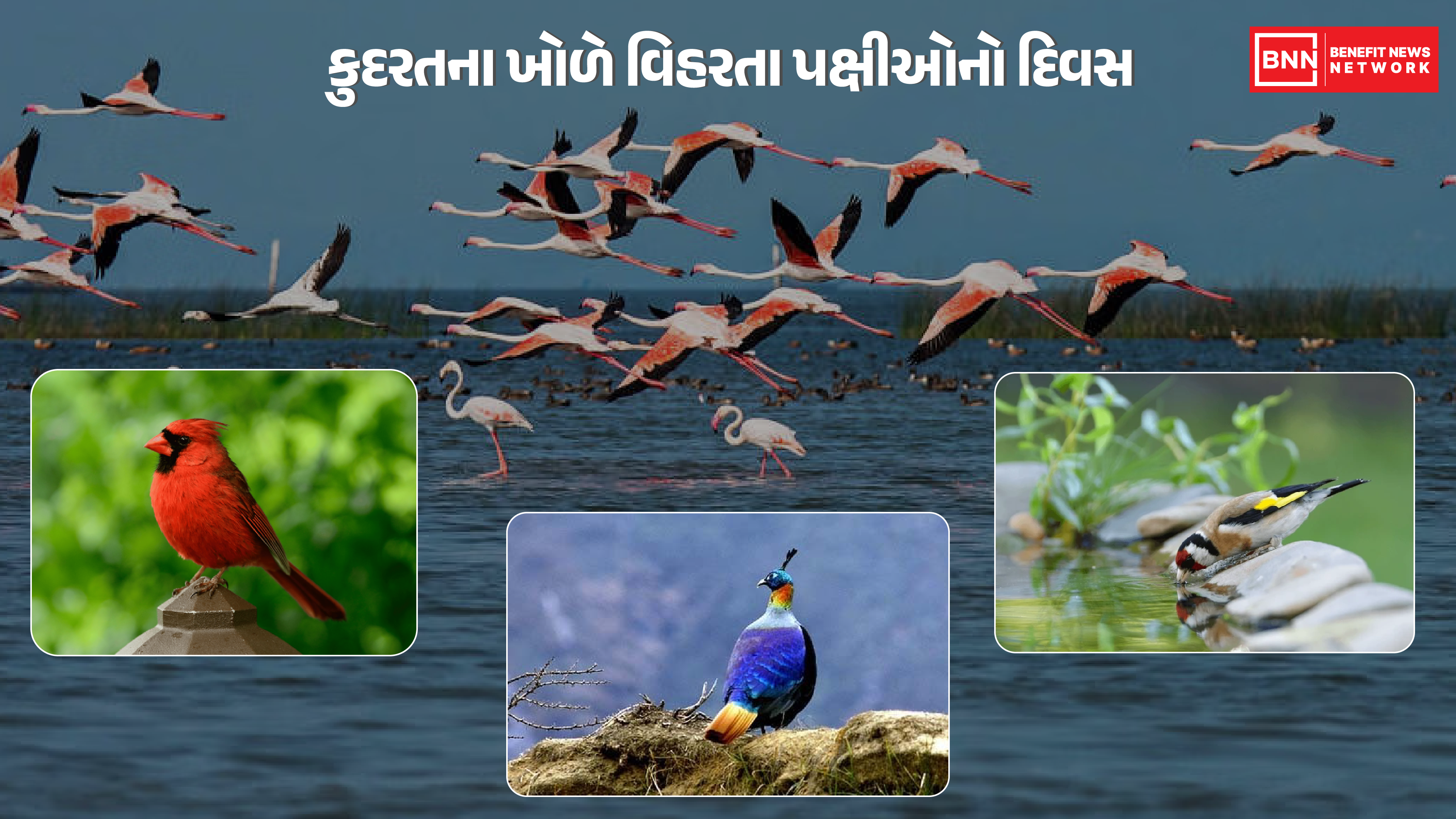 રાષ્ટ્રીય પક્ષી દિવસ