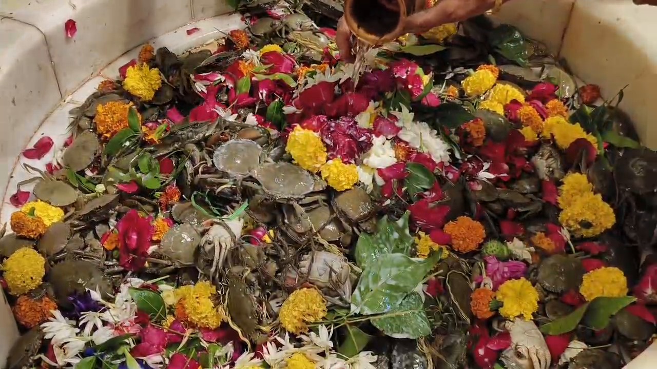 વિશ્વનું એક અનોખું મંદિર