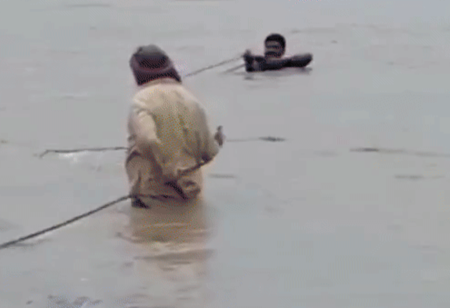 Bhavnagar : મગલાણા ગામે PI દોરડું બાંધીને પાણીમાં કૂદ્યા, અનેક જીવો બચાવ્યા!