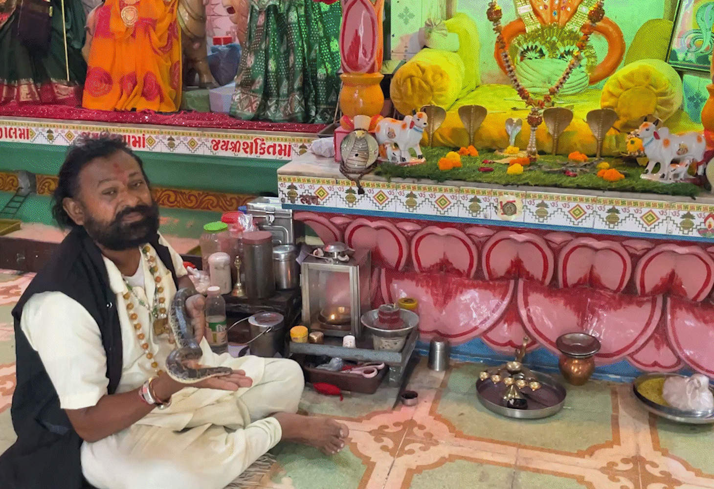 રાજકોટ મંદિરમાંથી 52 જીવતા સાપ મળ્યા: મહંતની ધરપકડ