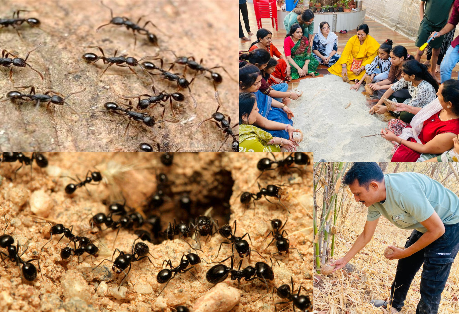પુણ્ય કમાવાનો મહિનો એટલે ચૈત્ર માસ....