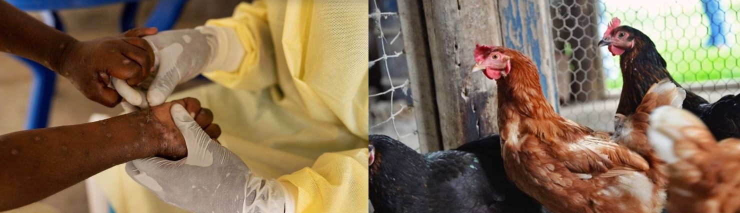 આ વર્ષે મંકીપોક્સ, બર્ડ ફ્લૂથી લઈને કોરોનાના નવા વેરયન્ટે લોકોને ડરાવ્યા