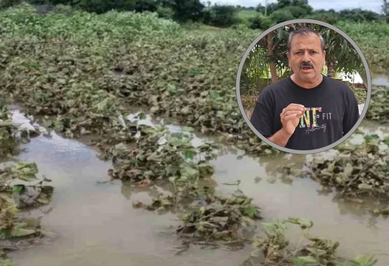 ઉદ્યોગપતિઓની જેમ ખેડૂતોના પાક ધિરાણ માફ કેમ નહિ?