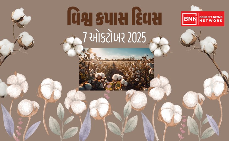 વર્લ્ડ કોટન ડે: ગુજરાત કપાસનું મોટું હબ