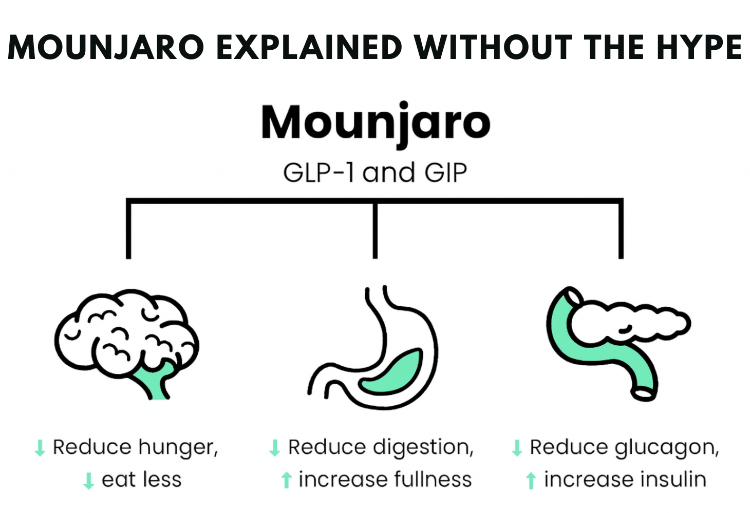 Mounjaro Explained Without the Hype