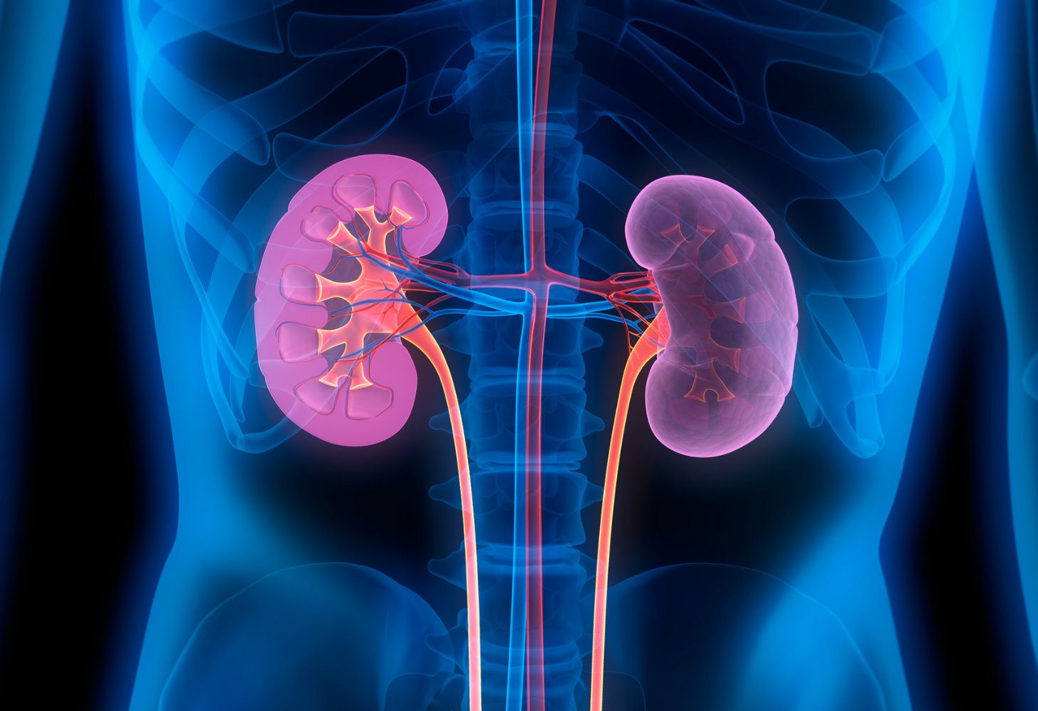 Kidney Diseases: શું તમે પણ આવા લક્ષણો અનુભવો છો? હોઇ શકે છે કિડની રોગ