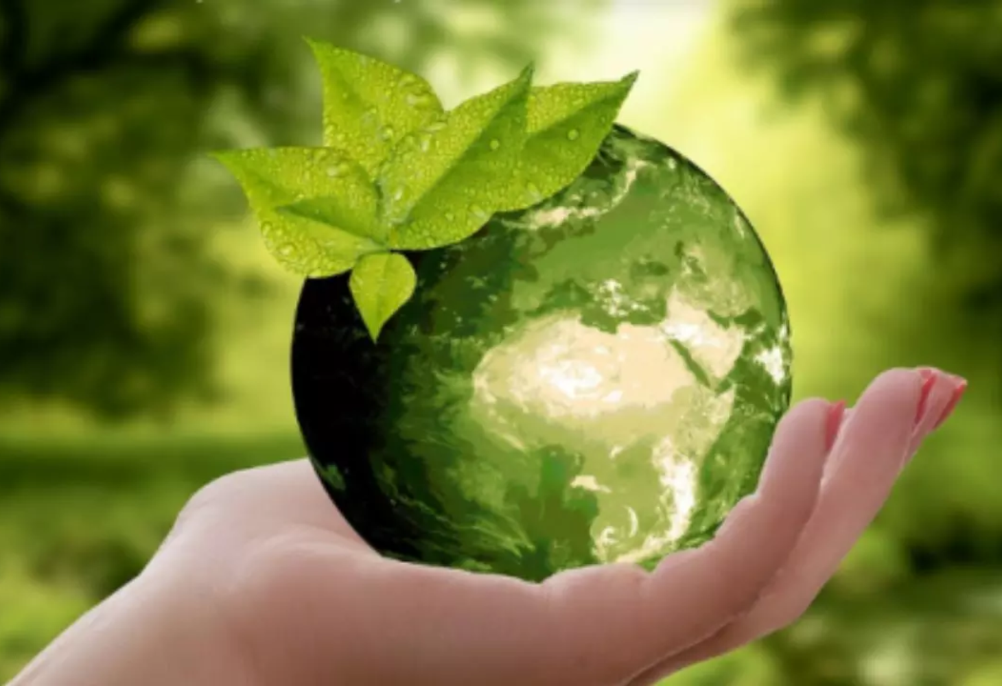 World Earth Day: નેતાઓએ શુભેચ્છા પાઠવી, પૃથ્વીને હરિયાળી બનાવવાનો સંકલ્પ લીધો