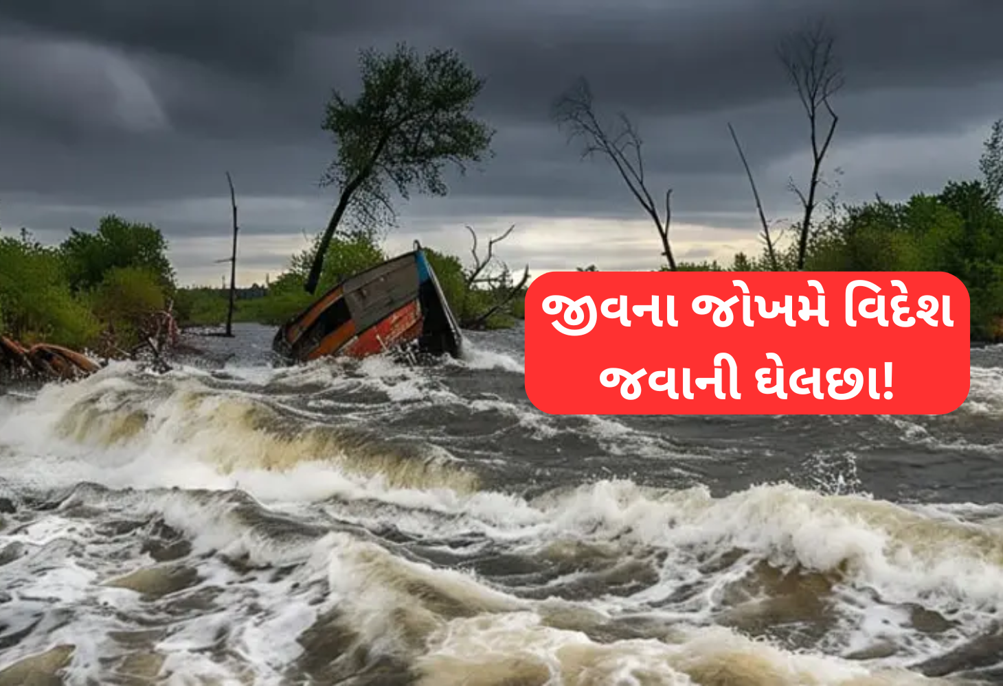 અમેરિકામાં સ્થાયી થવાની લાલચે ગુજરાતી પરિવાર વિખેરાયો