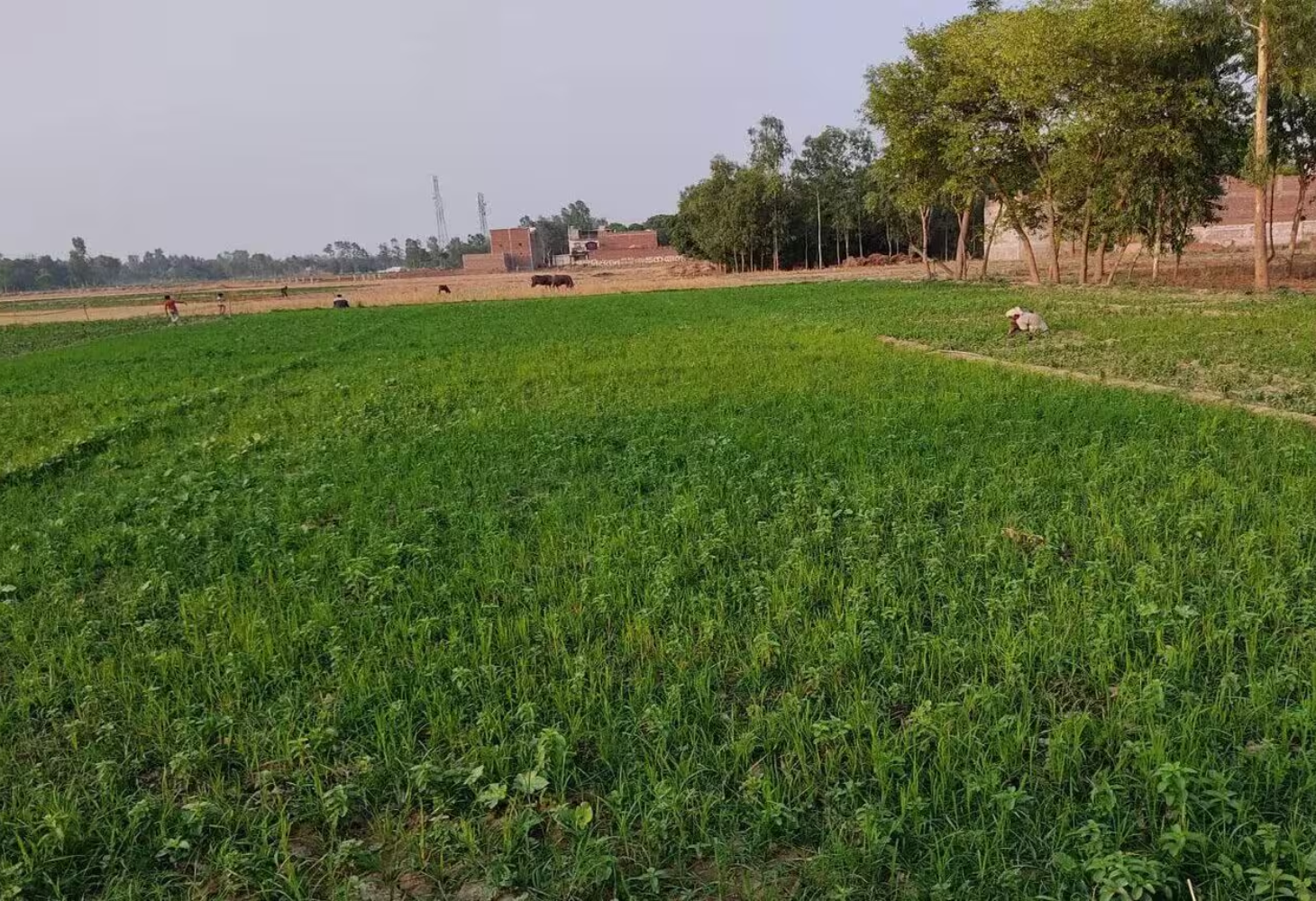 જો તમને સપનામાં આ વસ્તુઓ દેખાય તો સમજો કે તમે ધનવાન બનવાના છો!