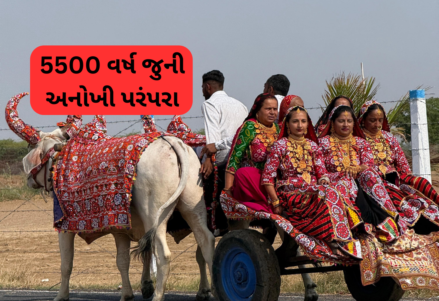 5500 વર્ષ જૂની લગ્ન પરંપરા: અંધારી તેરસનું અનોખુ મહત્વ