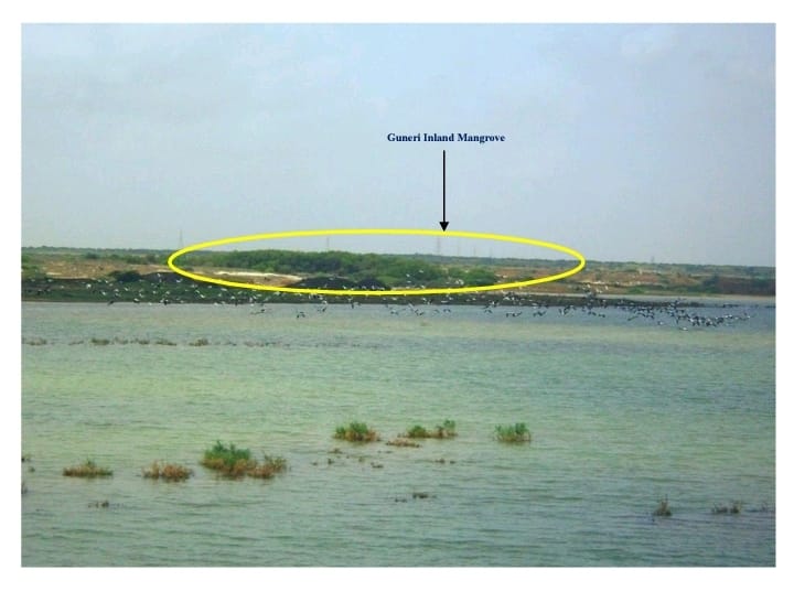 બાયો ડાયવર્સિટી સંવર્ધન ક્ષેત્રે ગુજરાતની વધુ એક સિદ્ધિ