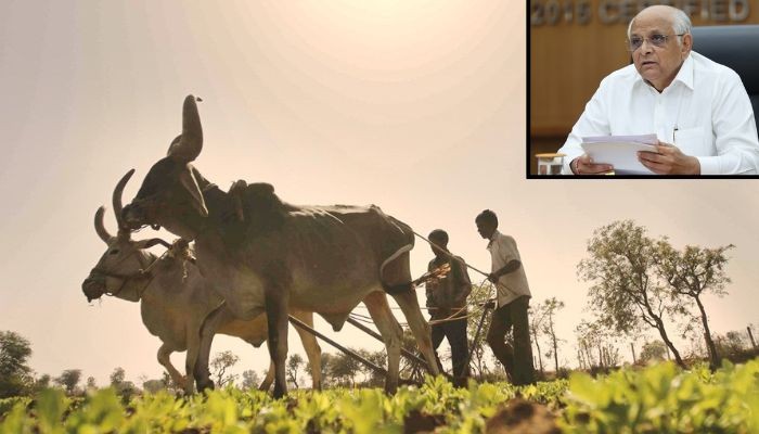 ગુજરાત સરકારનું ‘ખેડૂત પેકેજ’ ફક્ત લોલીપોપ