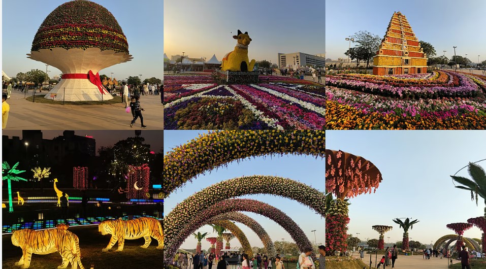 ફ્લાવર શોમાં જોયેલા ફૂલો હવે તમે 31 જાન્યુઆરી સુધી ખરીદી શકશો