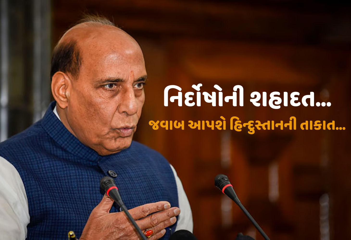 રક્ષામંત્રી રાજનાથ સિંહની ગર્જના, પહેલગામ આતંકવાદી હુમલાનો જડબાતોડ જવાબ અપાશે...
