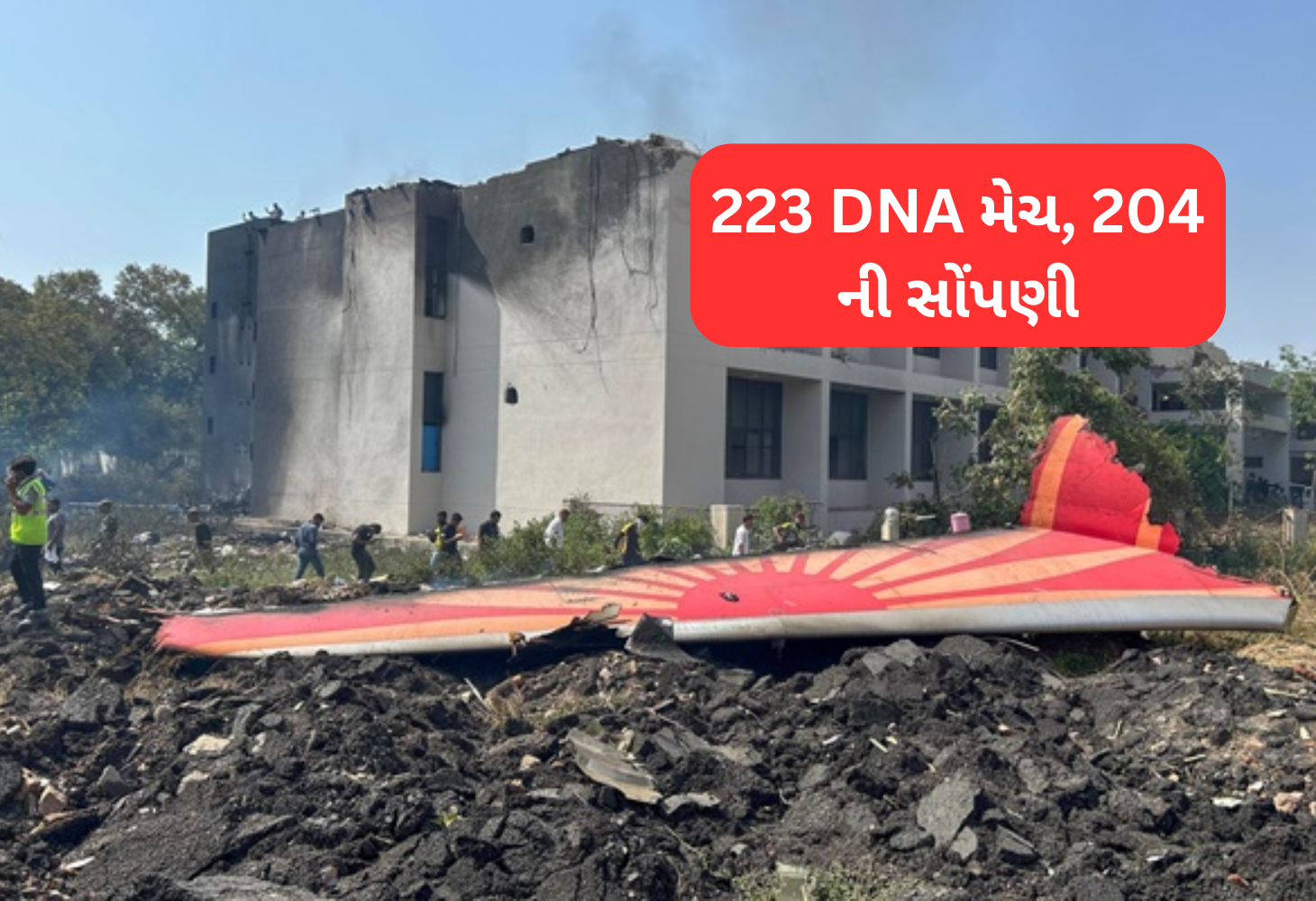 Ahmedabad વિમાન દુર્ઘટના: 223 મૃતકોના DNA મેચ, 204 પાર્થિવ દેહ પરિવારજનોને સોંપાયા