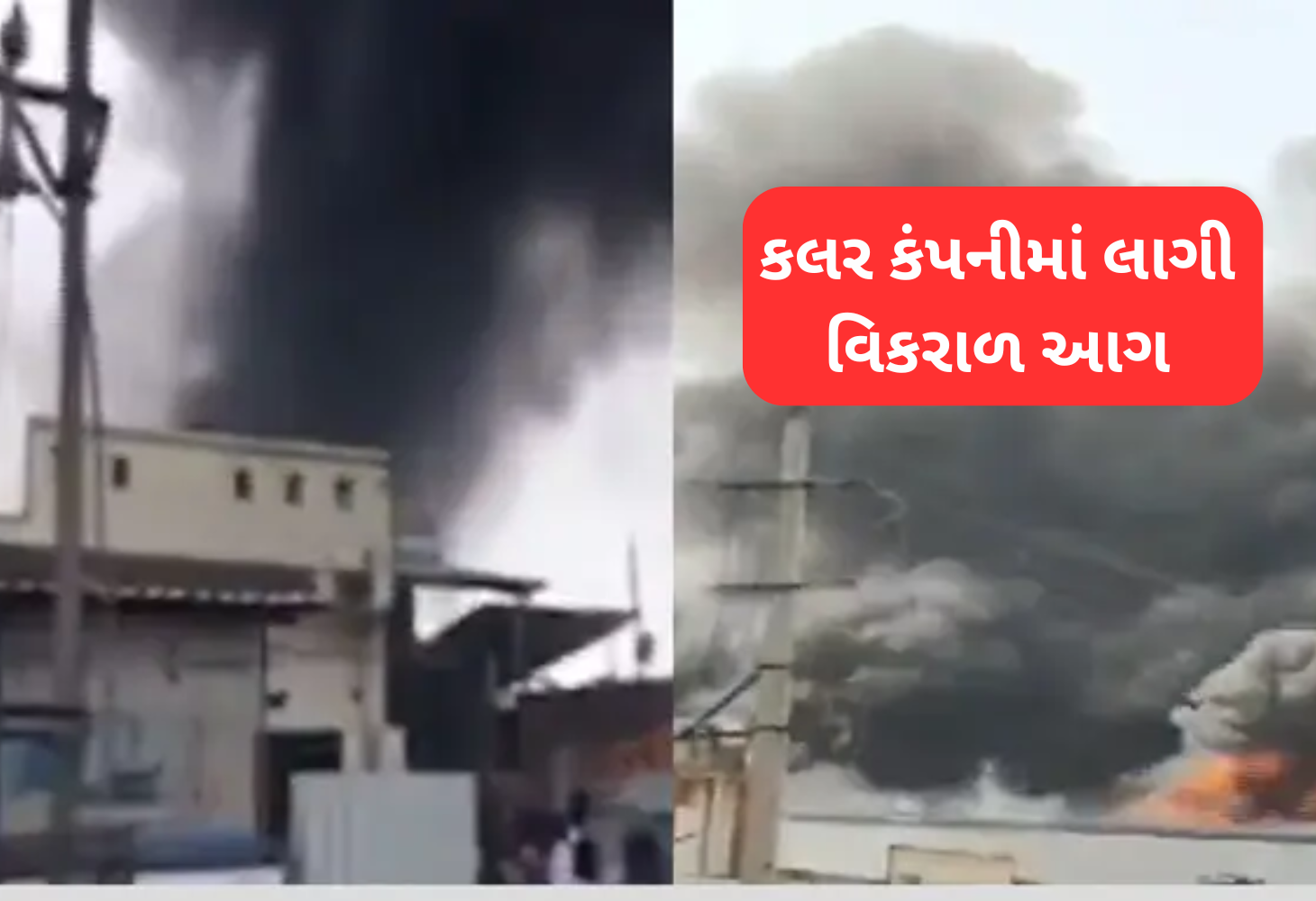 Mehsana દેદિયાસણ GIDCમાં કલર કંપનીમાં ભીષણ આગ