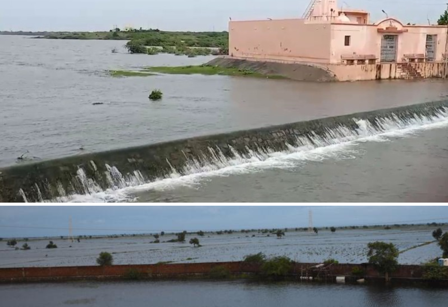 નાયકા ડેમ છલકાયો, 19 દરવાજા 8 ફૂટ ખોલાયા, ભોગાવો નદી બે કાંઠે, Surendranagar માં એલર્ટ!