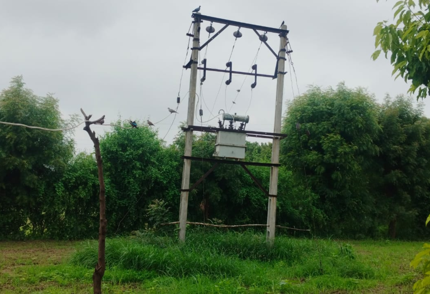 બનાસકાંઠા-આણંદમાં વીજ કરંટથી 5નાં મોત