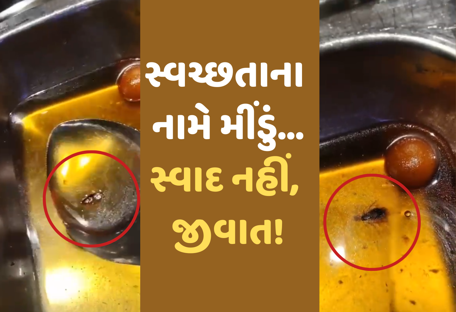 Ahmedabad ની Octant Pizza સીલ, ગુલાબજાંબુમાં જીવાત, કિચનમાં ગટરનું પાણી!