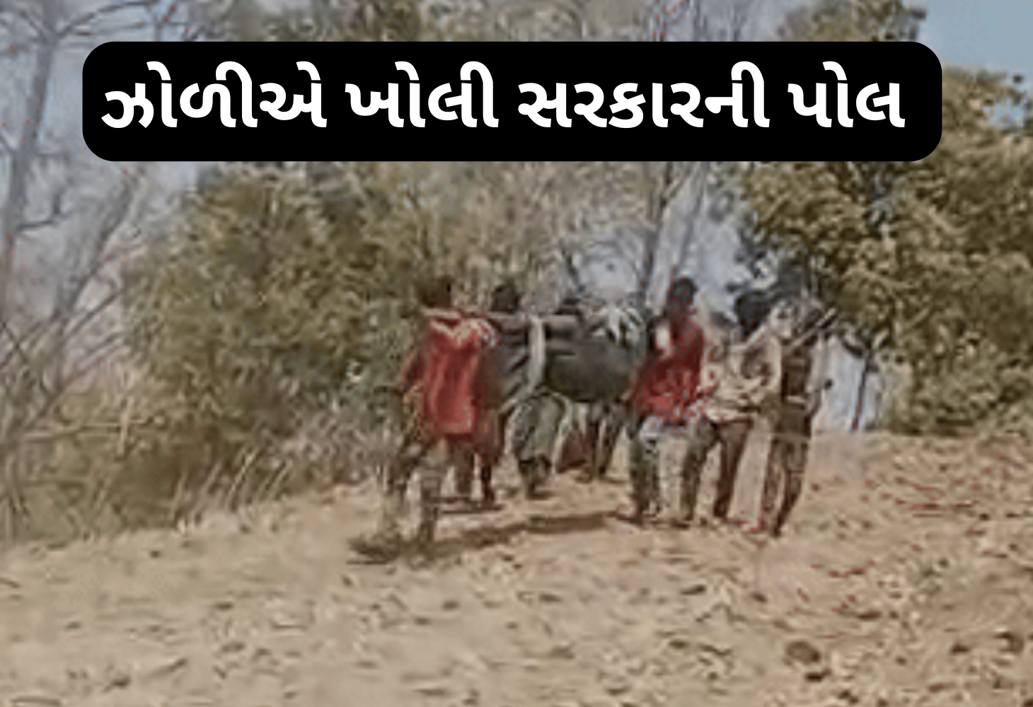 વિકસિત ગુજરાતનું ઝોળીદાર સત્ય: સરકારના વિકાસની પોલ ખુલી