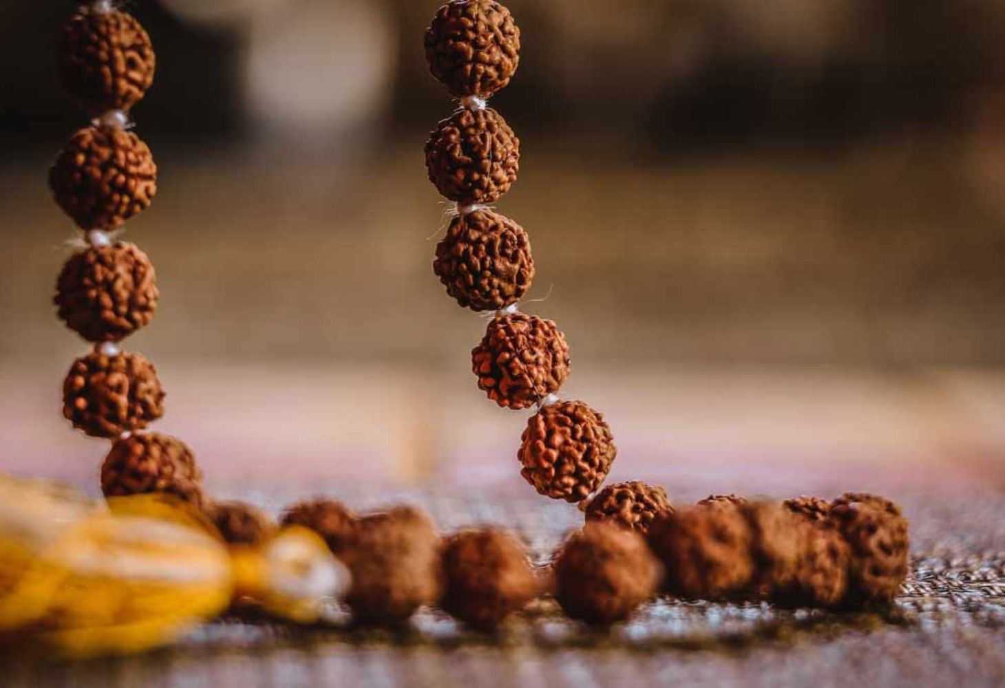 Rudraksha Benefits: રુદ્રાક્ષનું પાણી પીવાના અદ્દભુત ફાયદા જાણી ચોંકી જશો