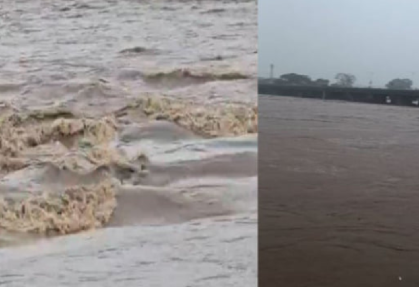 Sabarkantha : ખેડબ્રહ્મા પંથકમાં 12 ઈંચ વરસાદથી પાક ધોવાયો, ખેડૂતો ચિંતિત!